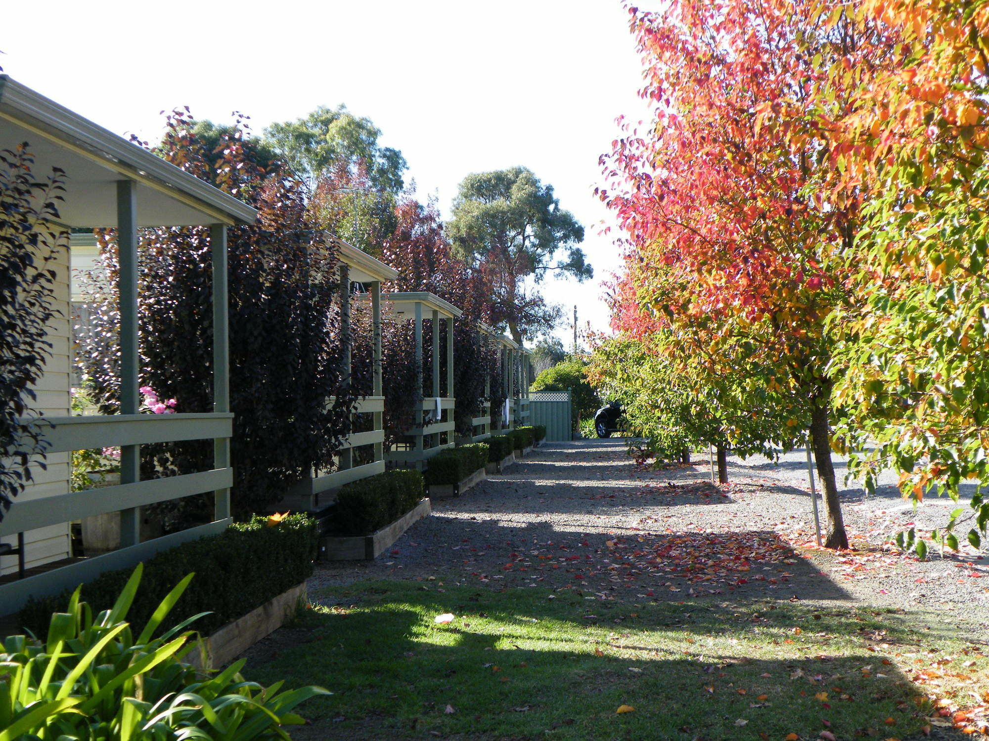 Lake Hamilton Motor Village And Caravan Park エクステリア 写真