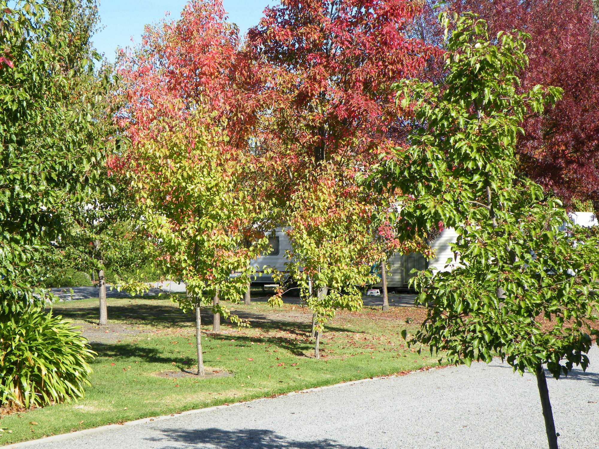Lake Hamilton Motor Village And Caravan Park エクステリア 写真