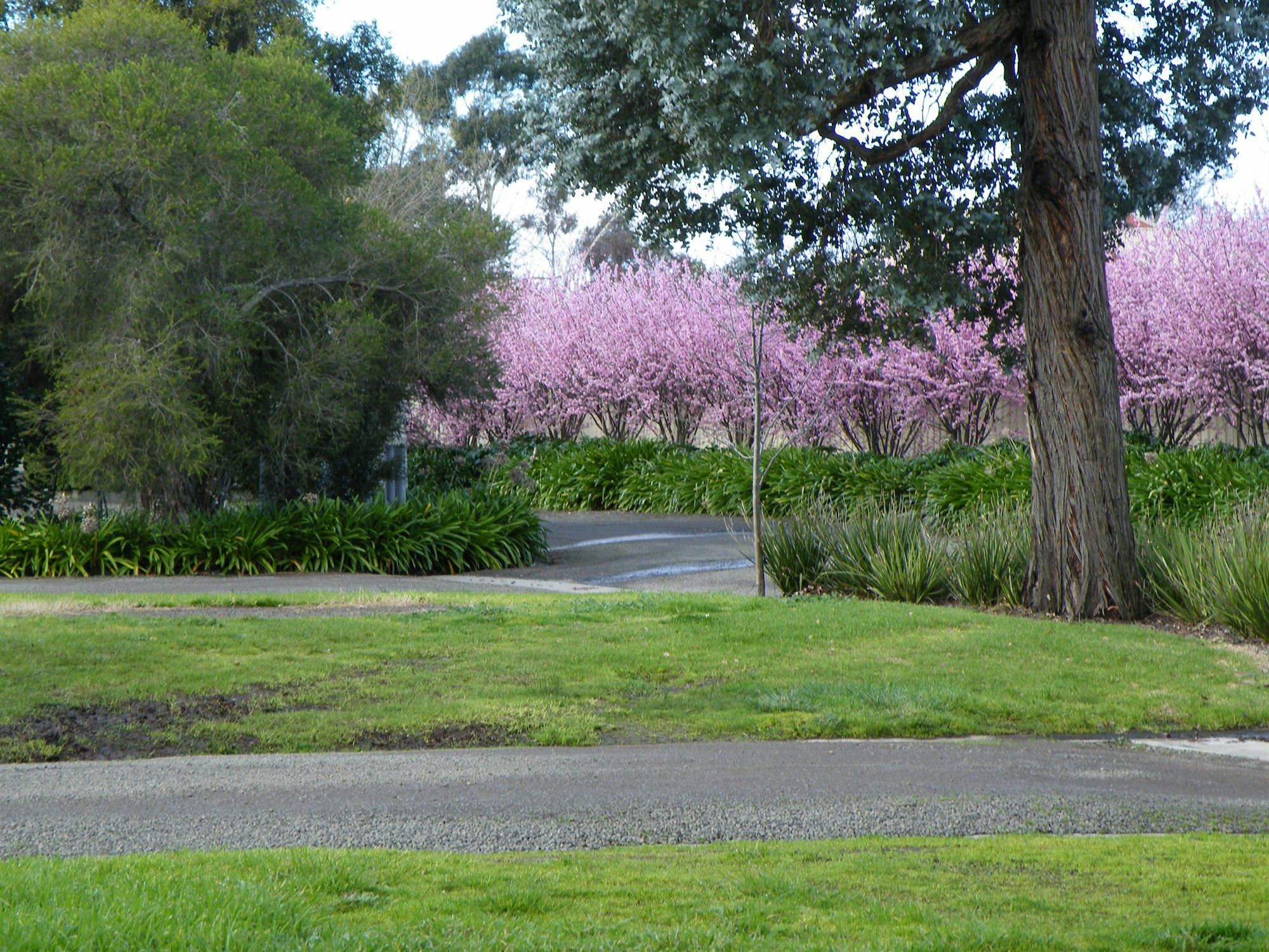 Lake Hamilton Motor Village And Caravan Park エクステリア 写真